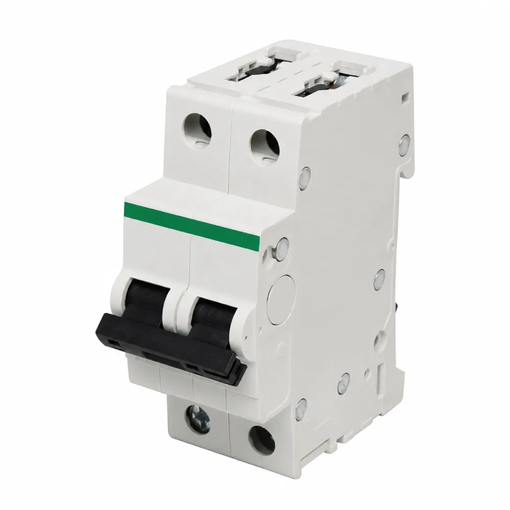 Disyuntor termomagnético DIN bipolar 2x80A 10kA Ecoville